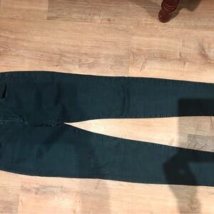Joe's Jeans Women's Skinny Jeans in Dark Green